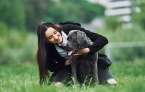 The Changing Role of Sheepdogs